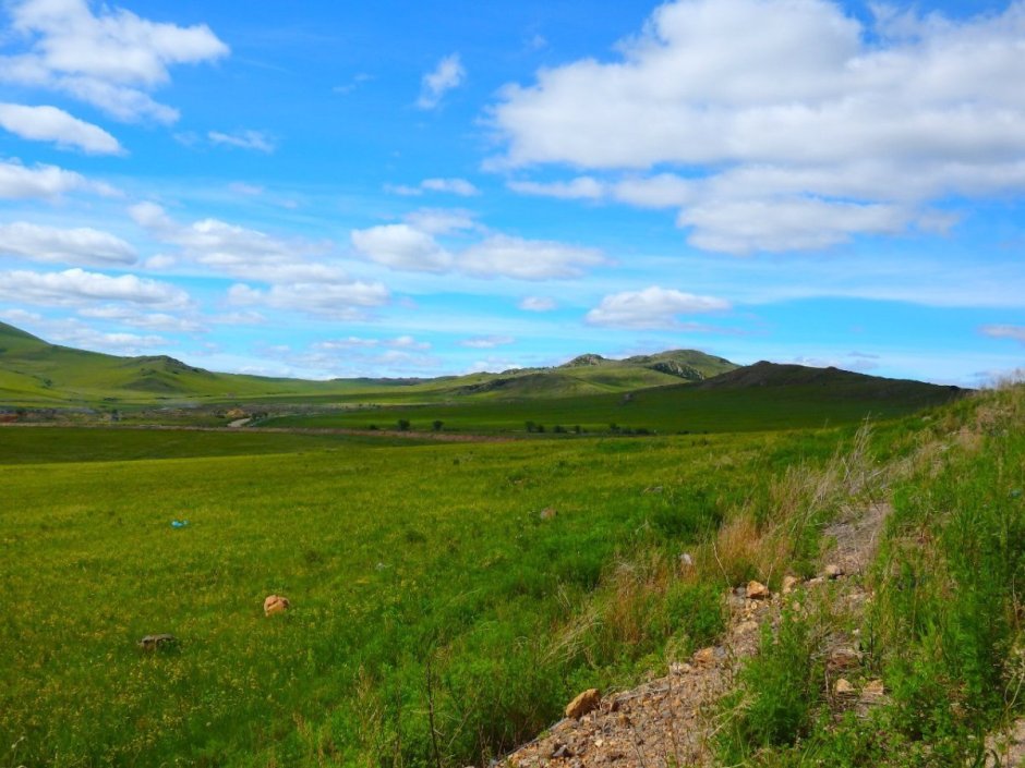 Даурские степи Забайкальский край