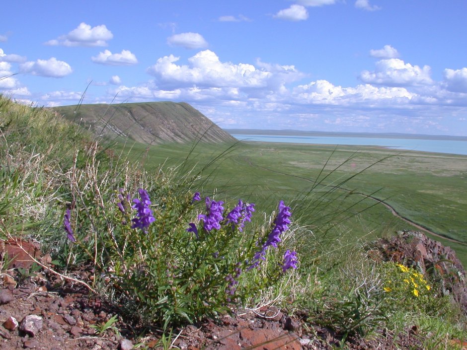 Даурский заповедник Забайкальского края
