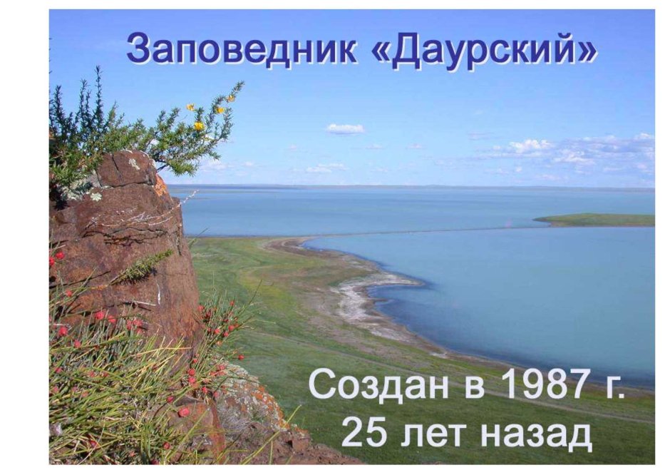 Торейские озера Забайкальский край