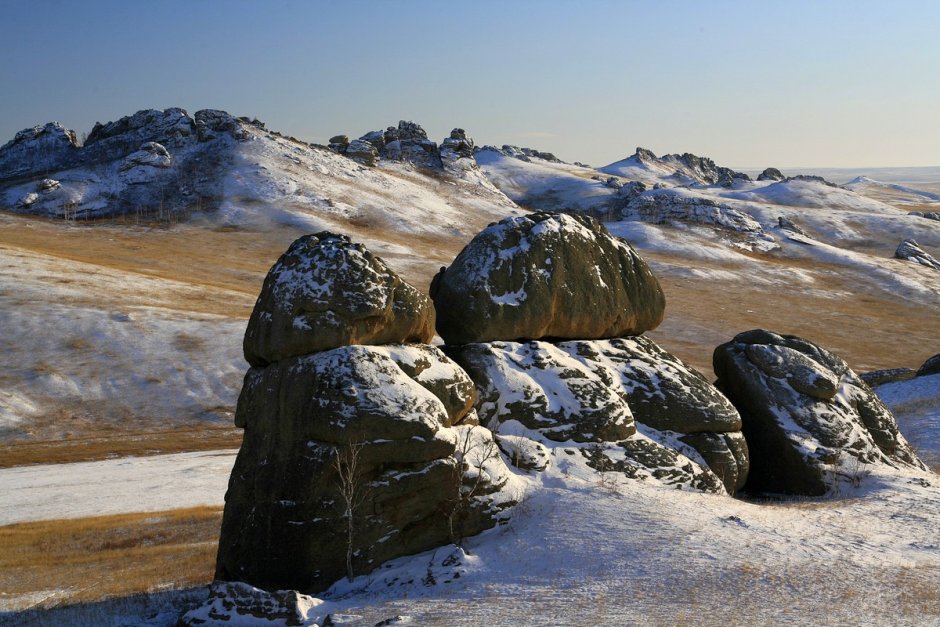 Даурский заповедник Забайкальского края зимой