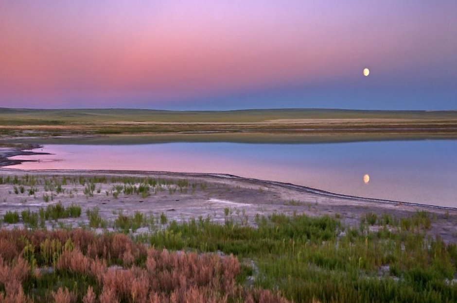 Даурский заповедник Забайкальского края