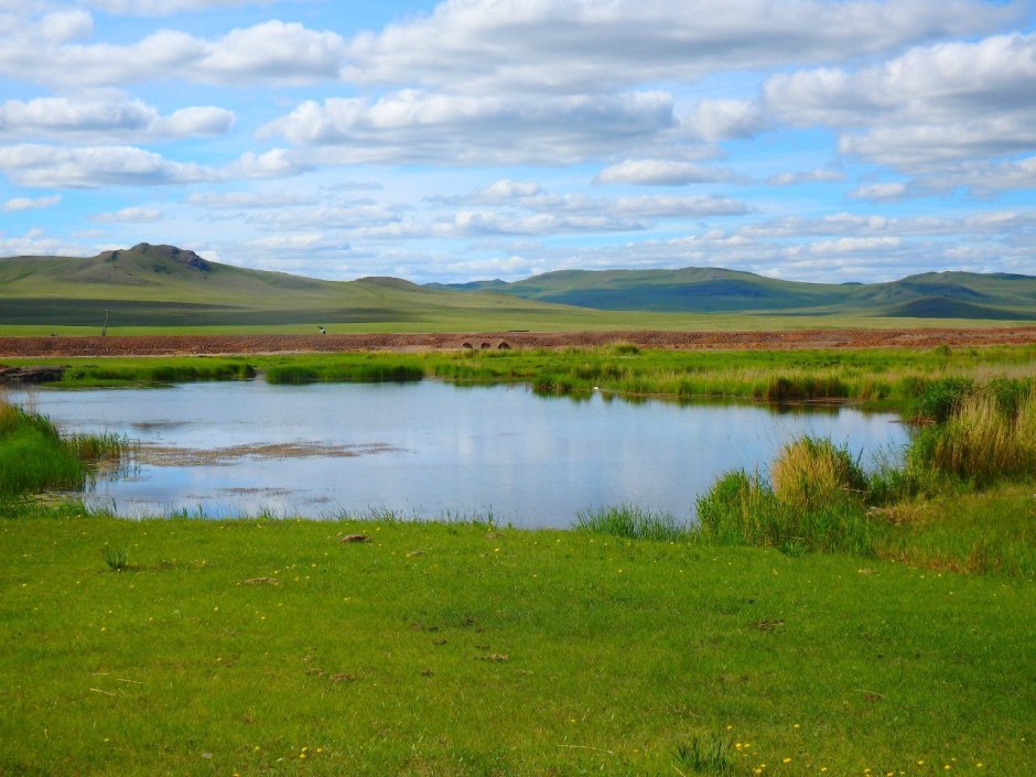 Даурия Торейские озера