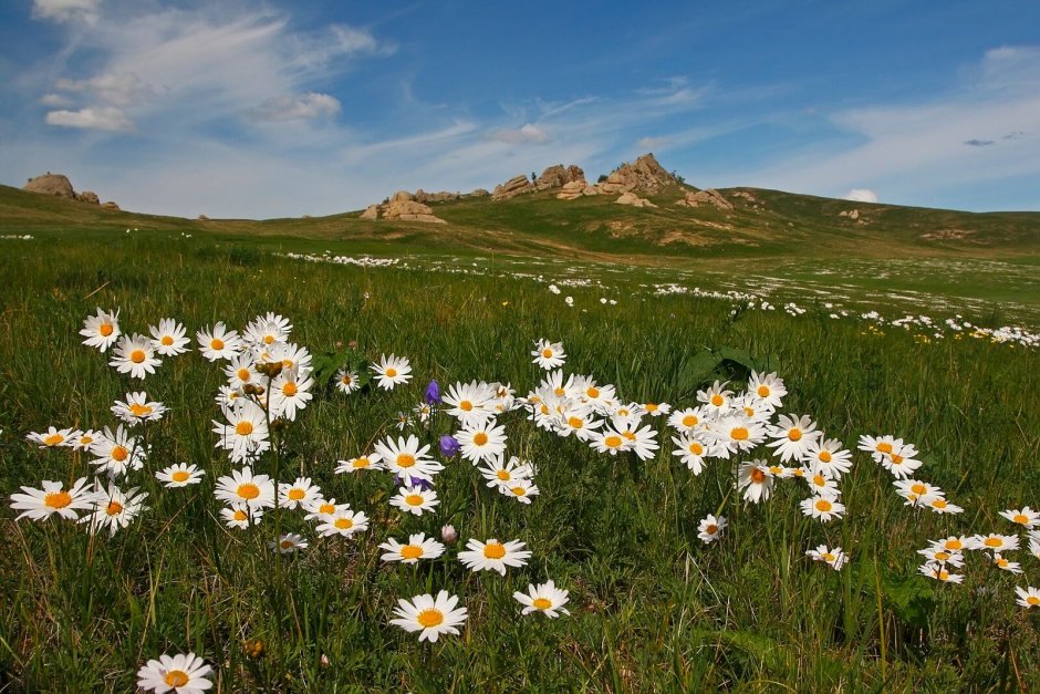 «Ландшафты Даурии» (Даурский заповедник)
