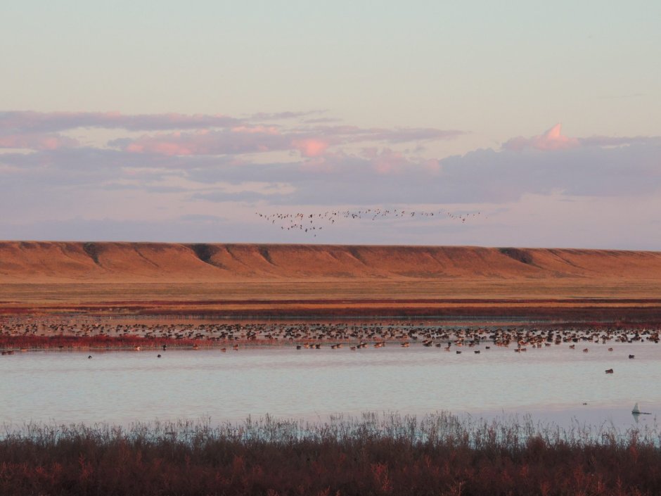 Ландшафты Даурии ЮНЕСКО