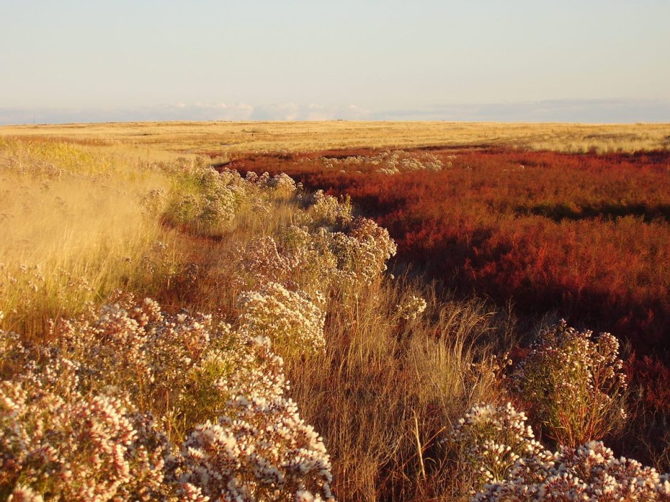 Даурский биосферный заповедник