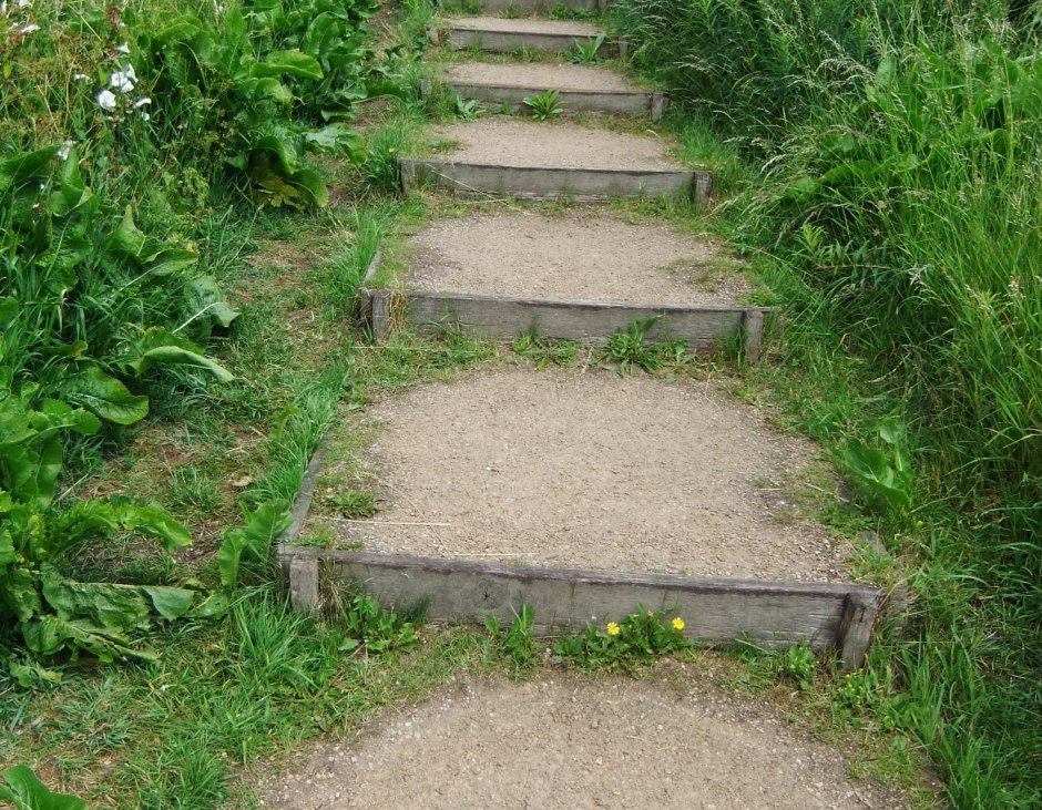 Ступеньки на участке