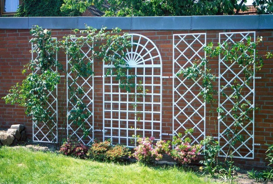 Трельяжная изгородь