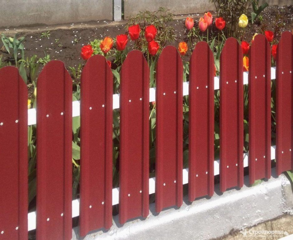 Палисад из железного штакетника