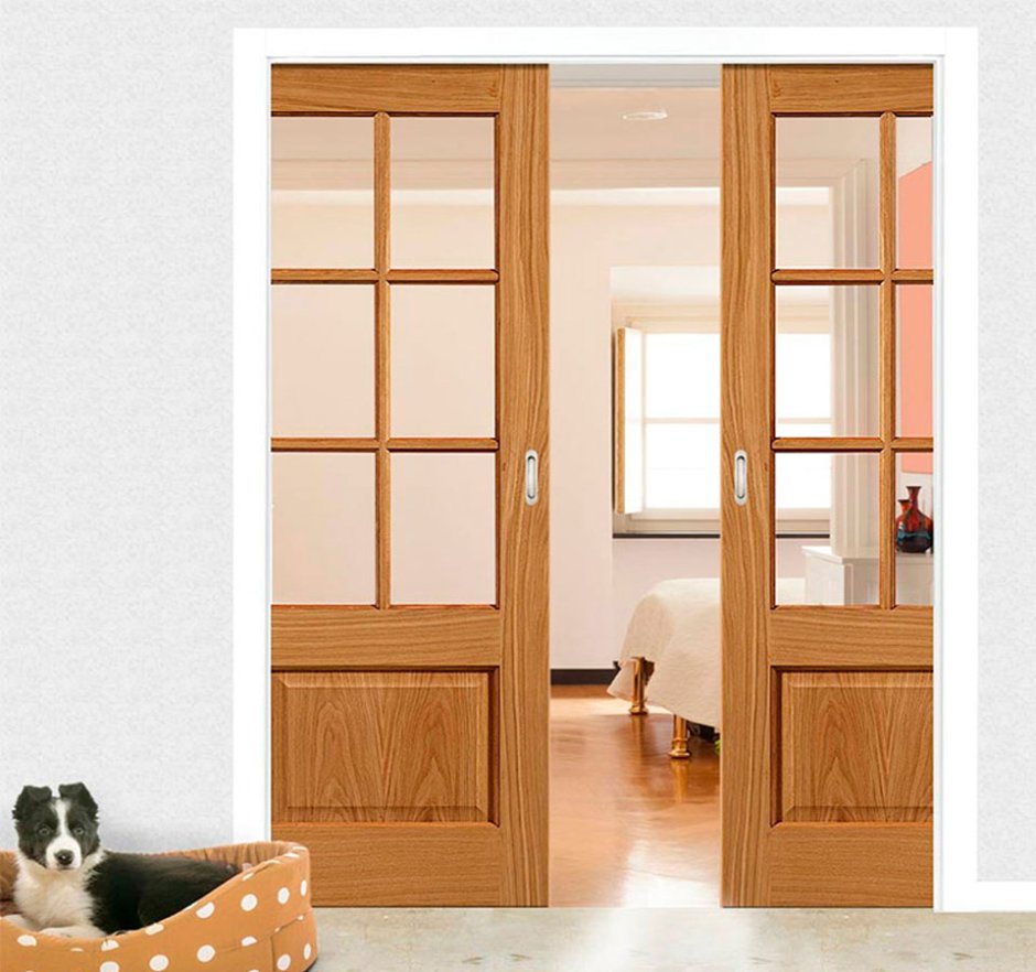 Двойные раздвижные двери