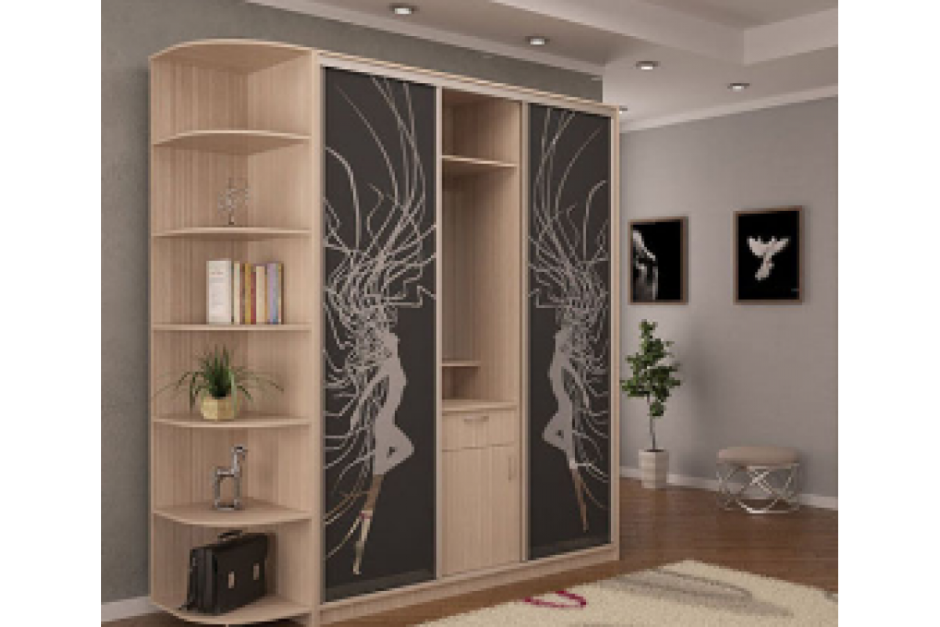 Шкаф купе Рафаэль КШ 1