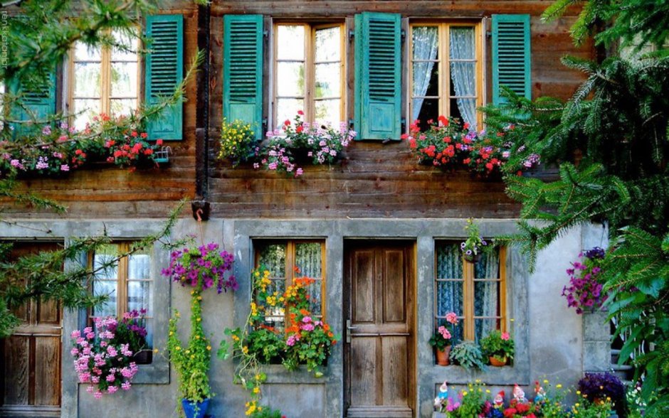 Старинный дом в цветах