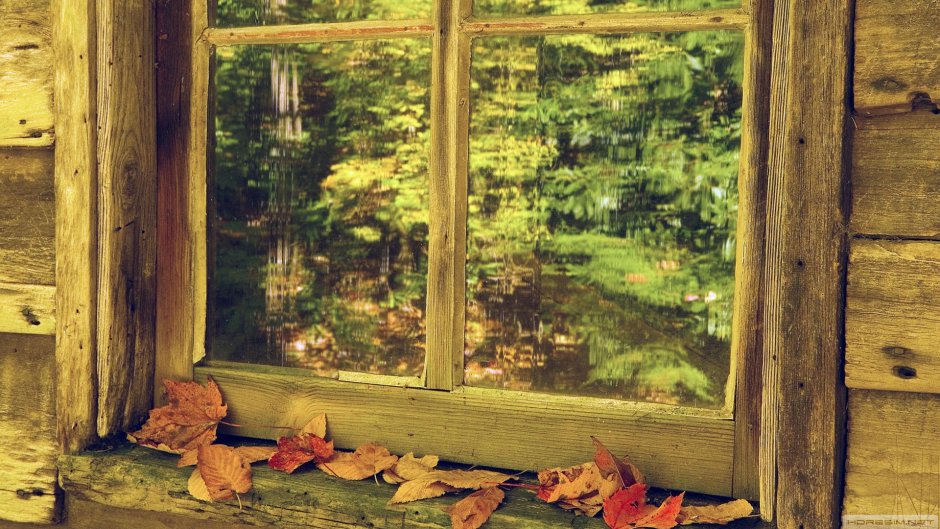 Осеннее окно