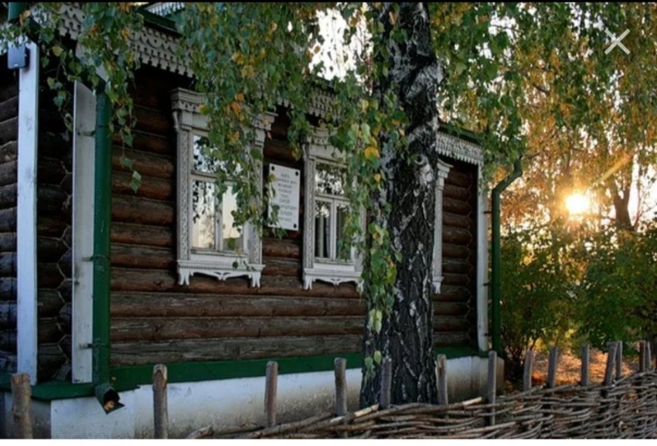 Береза под окном