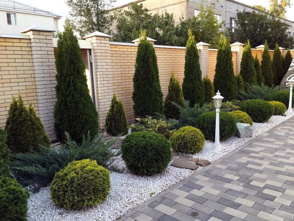 Туя Смарагд в ландшафте