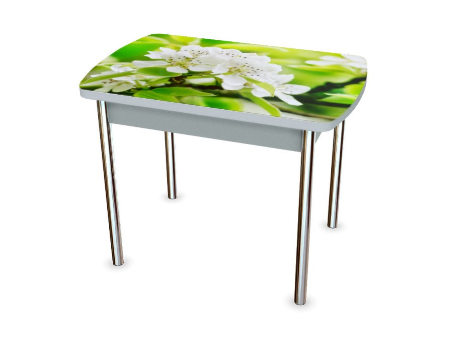 Кухонный стол стеклянный Камелия-1/106