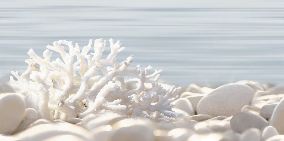 Del mare плитка Альма керамика