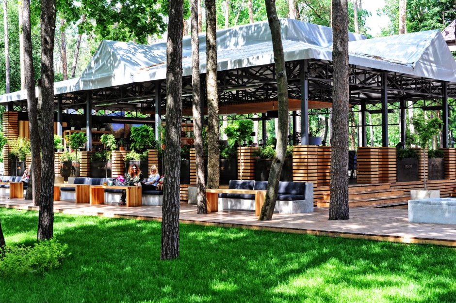 Лес и Лис Белгород летняя площадка