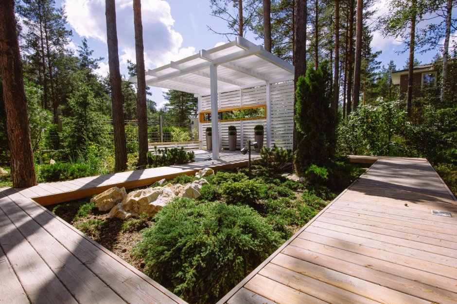 Лесная зона на участке