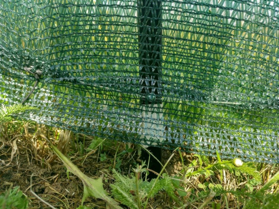 Фасадная сетка для забора на даче