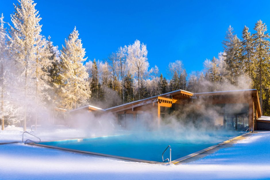 Отель лес арт Резорт в Подмосковье