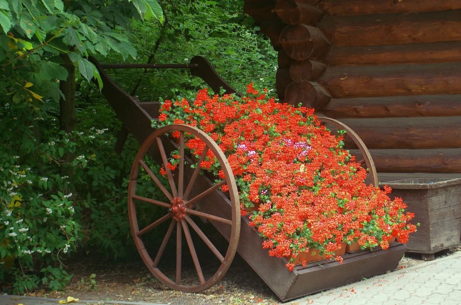 Клумба из телеги