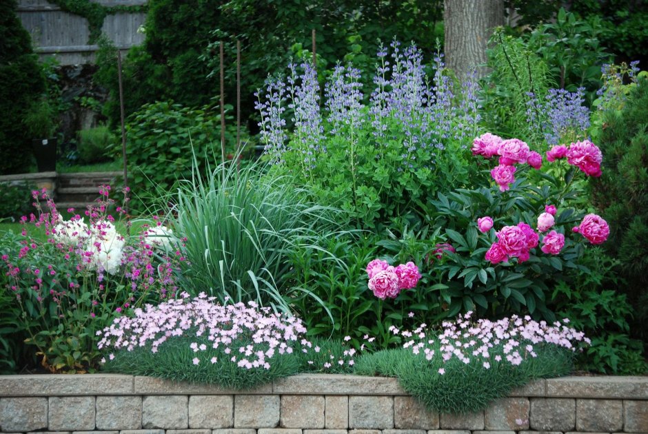 Perennial Bed