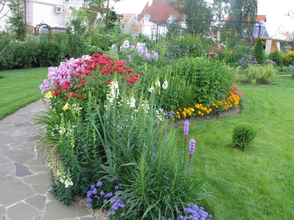 Флоксы в миксбордере