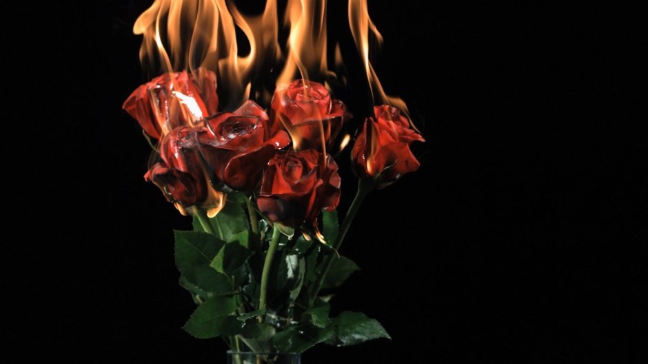 Розы в огне